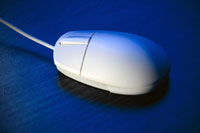 A basic computer mouse