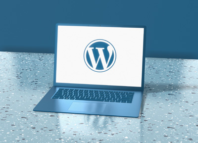 Content Management Systems include blogging software like WordPress.