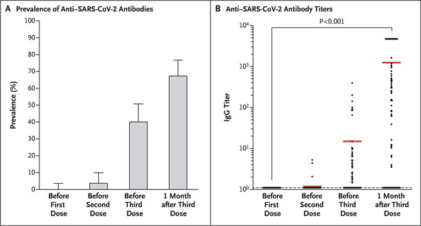 Third dose greatly increases antibody production in solid organ transplant patients.